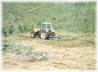 Limpieza mediante desbrozadora de cadenas