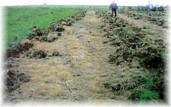 Efectos de la limpieza qu�mica