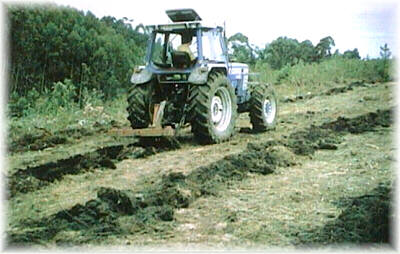 El subsolado lineal suele ser adecuado en la mayor parte de los terrenos