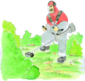 La limpieza puede realizarse con desbrozadora mec�nica