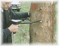 Forc�pula electr�nica