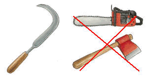 Herramienta adecuada para realizar la selección de brotes