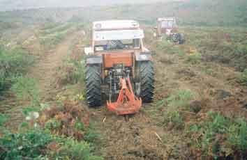 Rej�n modificado con alas en el tercio superior para apertura de surcos de subsolado abiertos