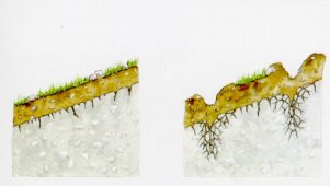 Efecto de subsolado sobre el suelo cuando la roca es disgregable