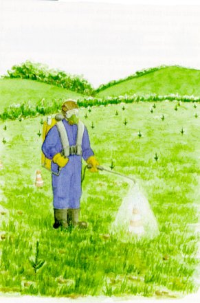Aplicaci&oacute;n manual de herbicida con protecci&oacute;n de las plantas.