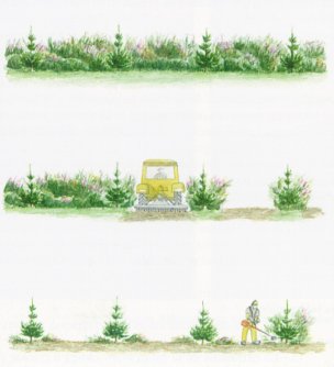 Desbroce mecanizado con tractor agr&iacute;cola dotado de desbrozadora de cadenas. En las proximidades de las l&iacute;neas de planta la terminaci&oacute;n del trabajo ha de ser manual.