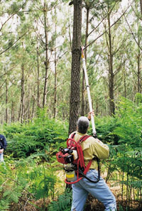 Podadora neum�tica