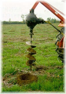 Ahoyado mecanizado mediante barrena helicoidal para plantaci�n de E. nitens