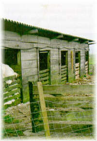 Refugio para ovejas y cabras. Marco da Curra (La Coru�a)